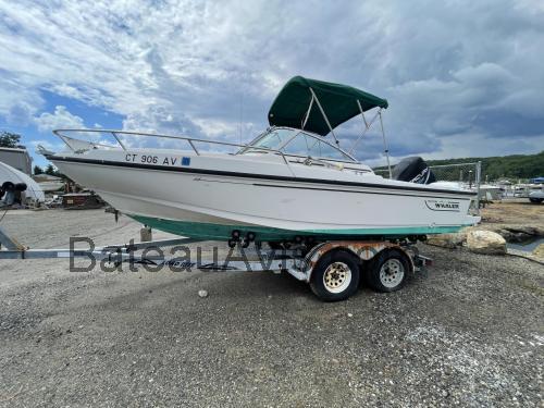 Boston Whaler Ventura 20 fiche technique et avis
